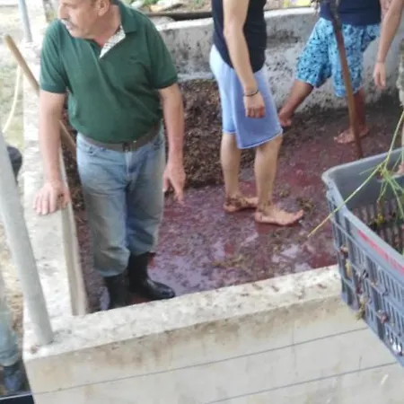 Ontas Loutraki Platanias גרני צ'ניון